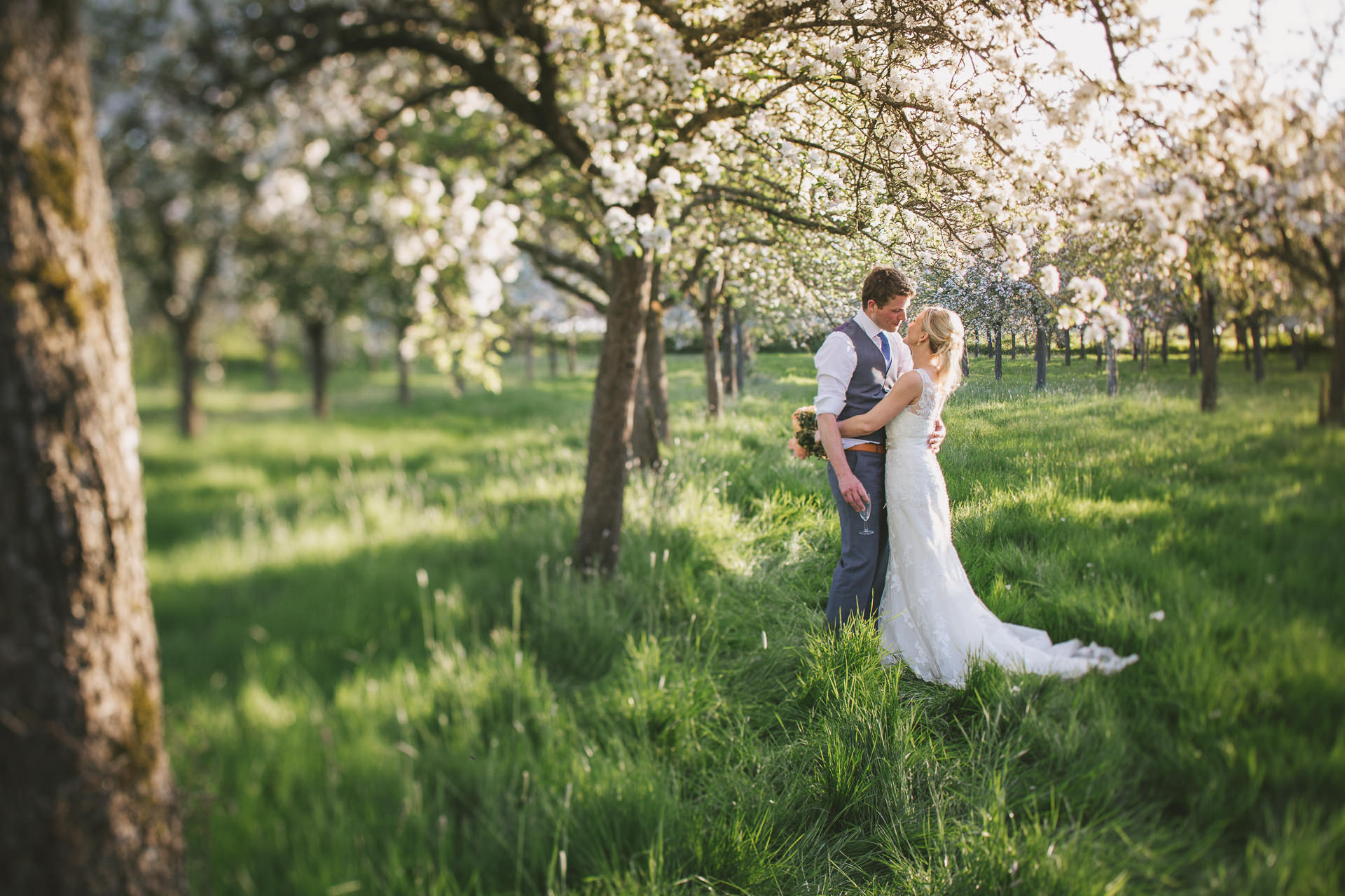 Bride and groom beneath apple blossom