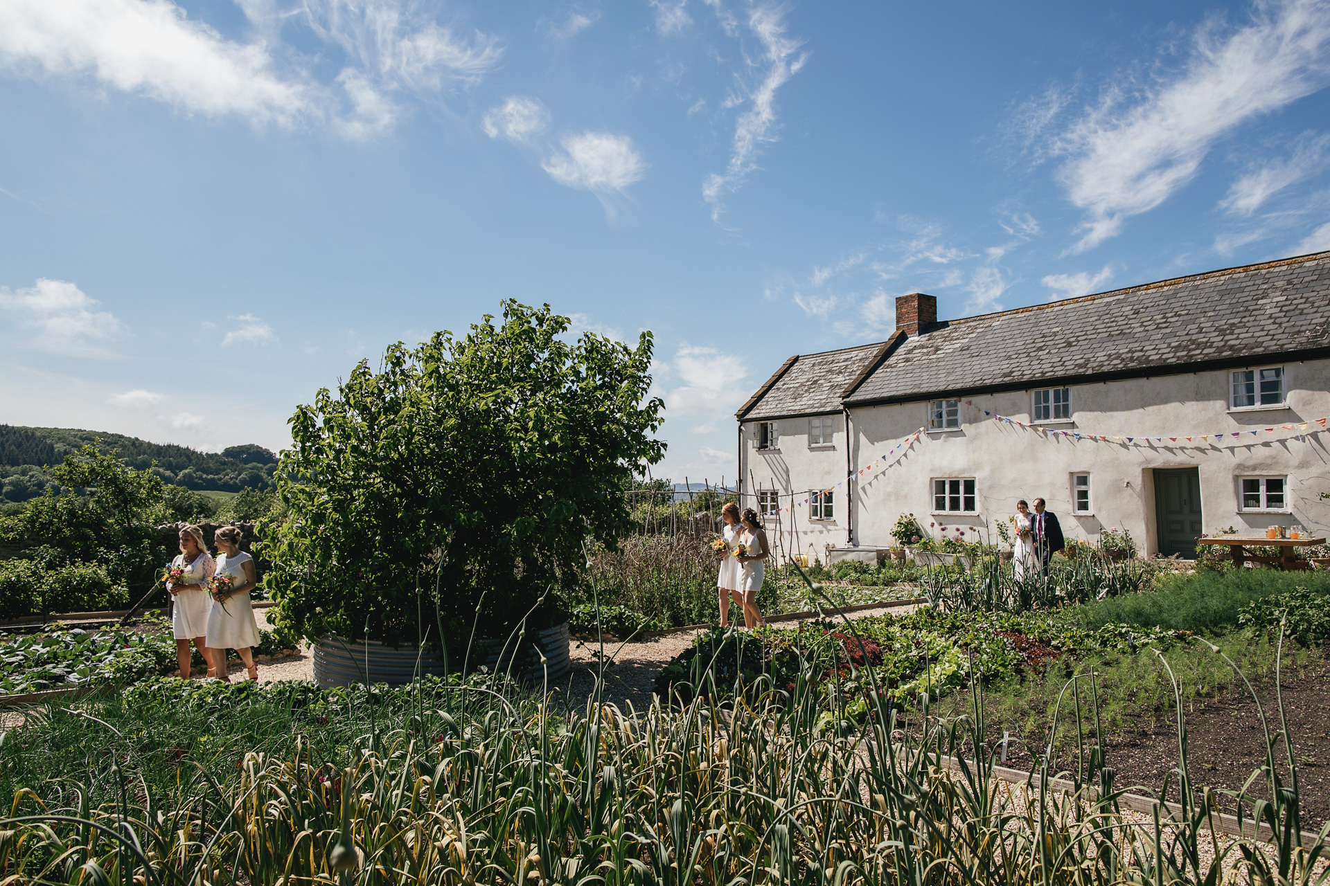 Bride and father, and bridesmaids, walking through River Cottage kitchen garden