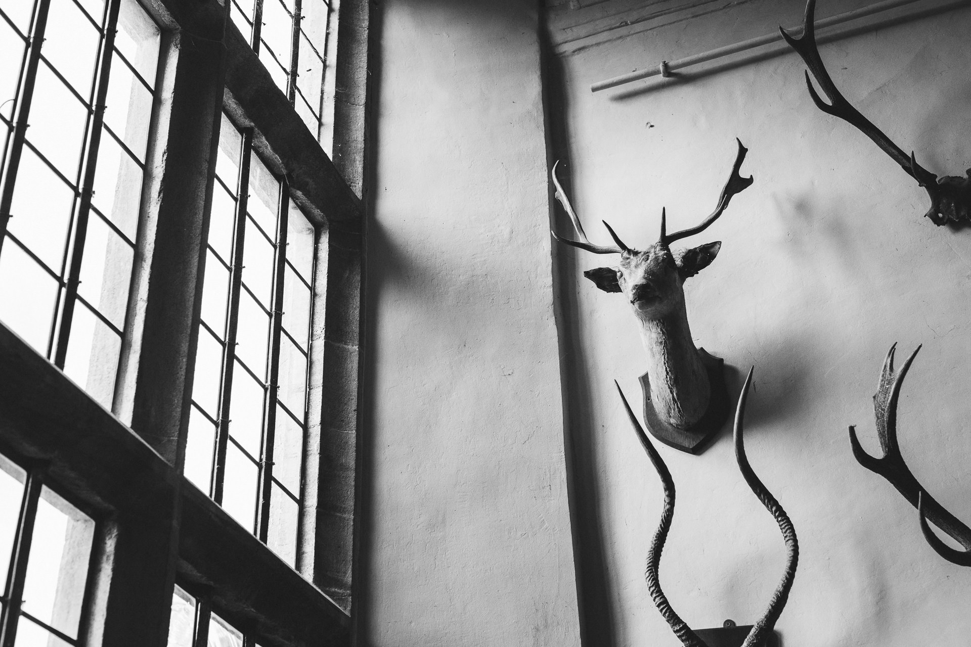 Stag heads on the wall at Brympton House