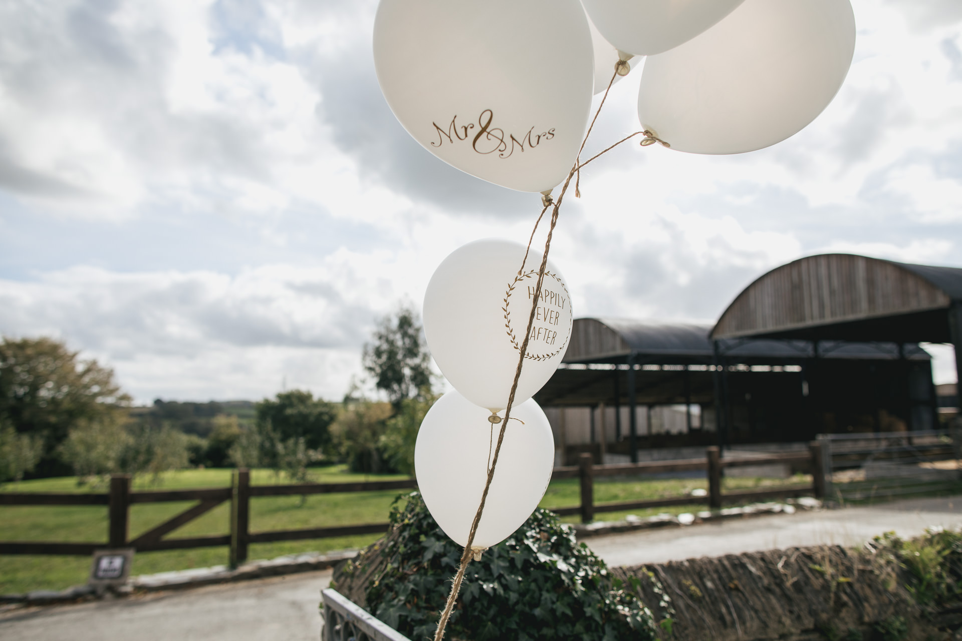 Wedding balloons in front of Devon fields