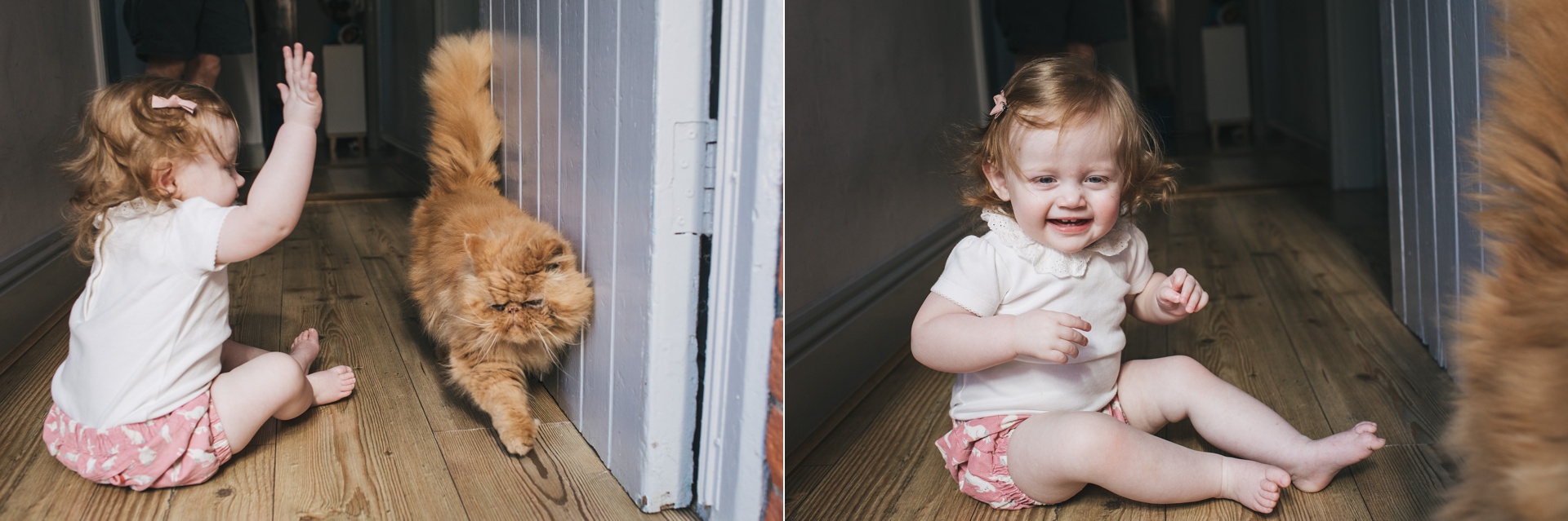 A young girl laughing at a cat