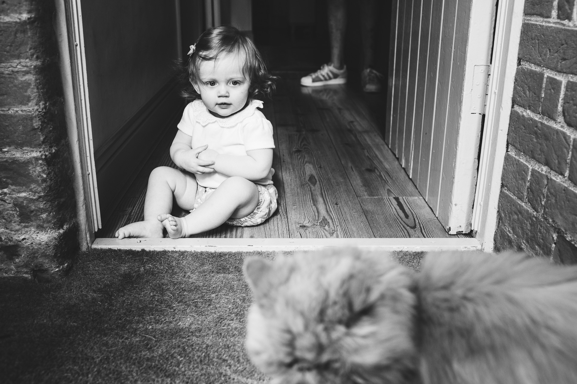 A young girl staring at a cat