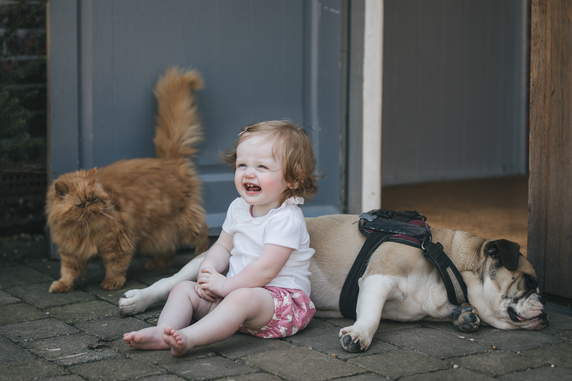 A young girl laughing with her family pets