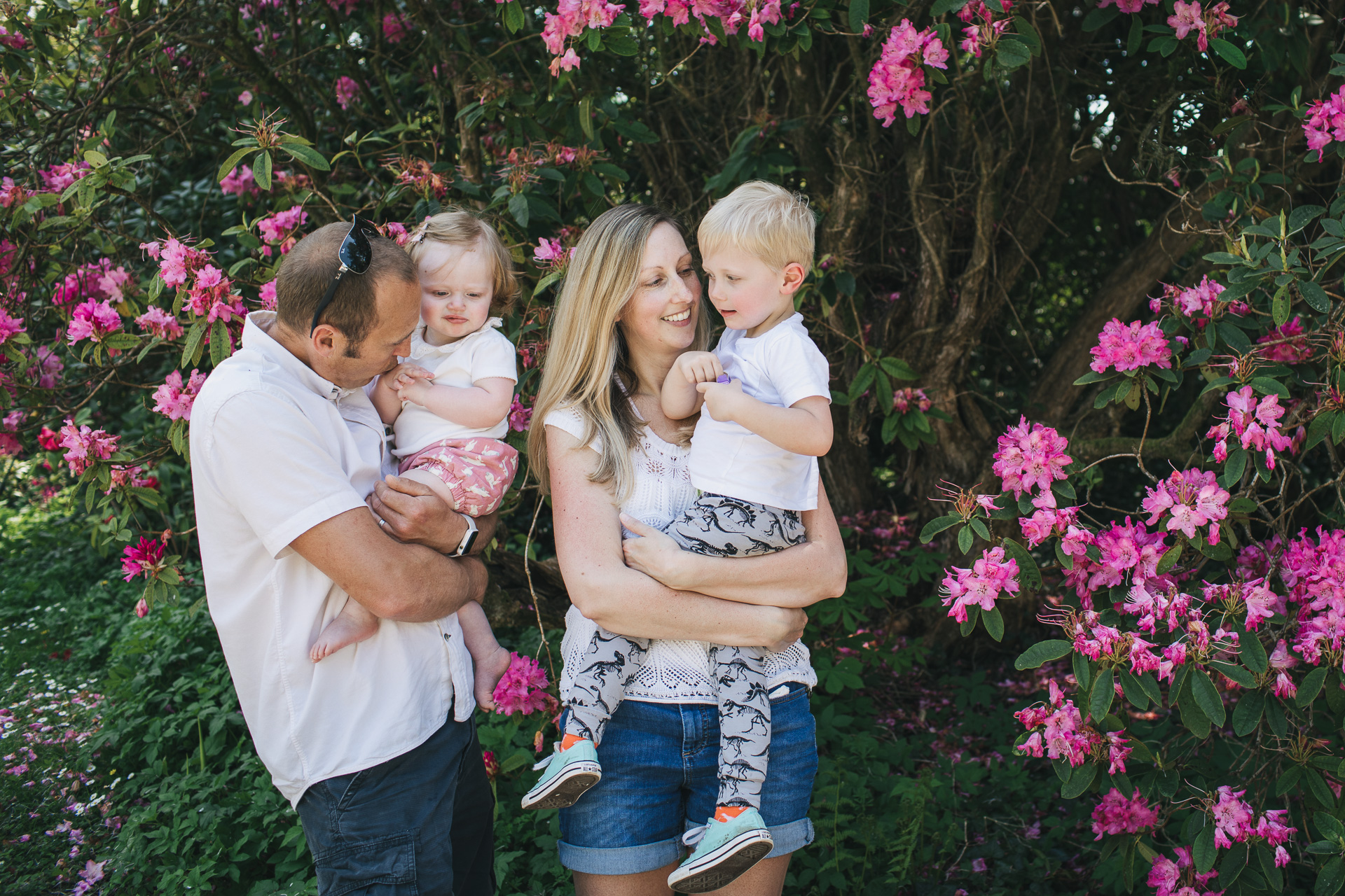 A family of four together in front of pink flowers