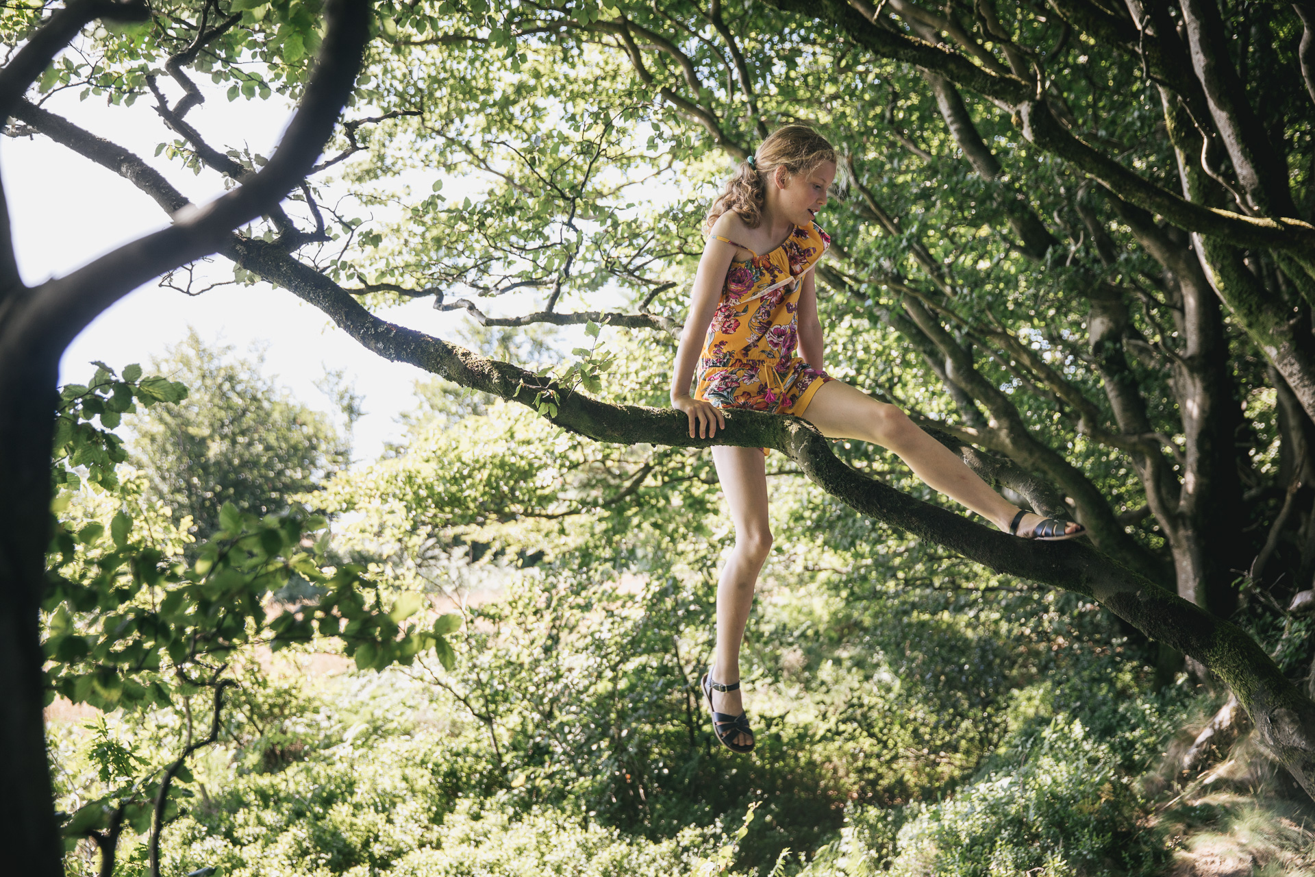 A young girl climbing on a tree