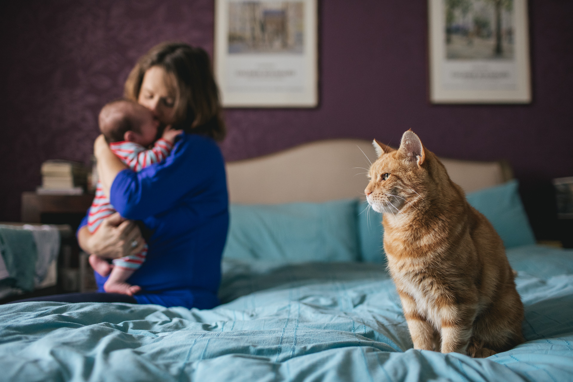 A cat sitting on a bed, with a mother and baby behind