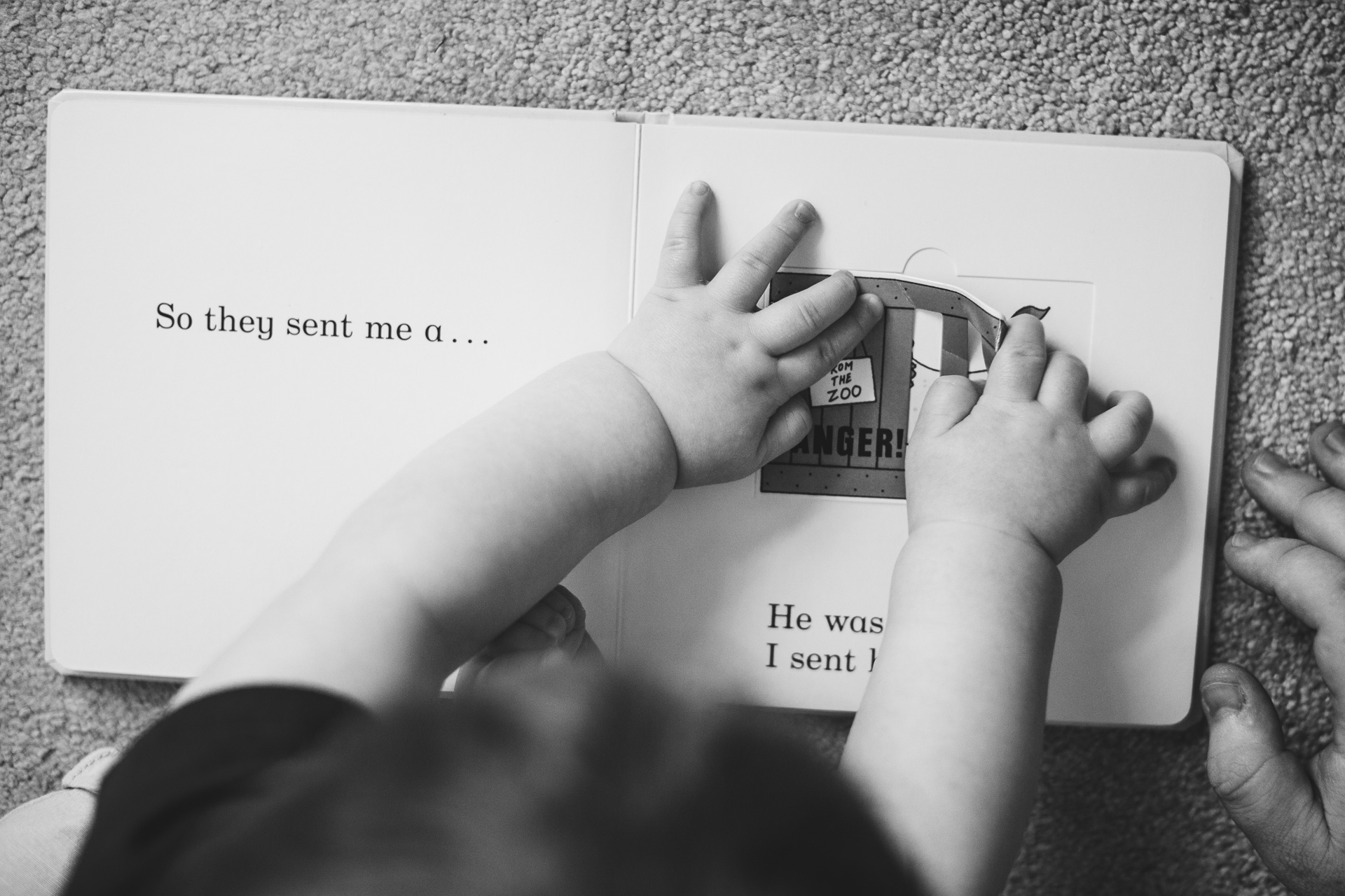 A small boy's hands reading Dear Zoo