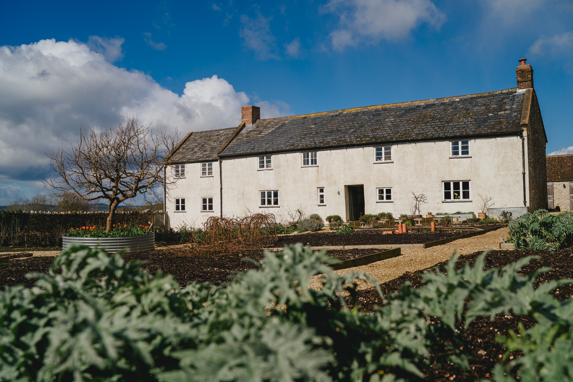 River Cottage and the kitchen garden