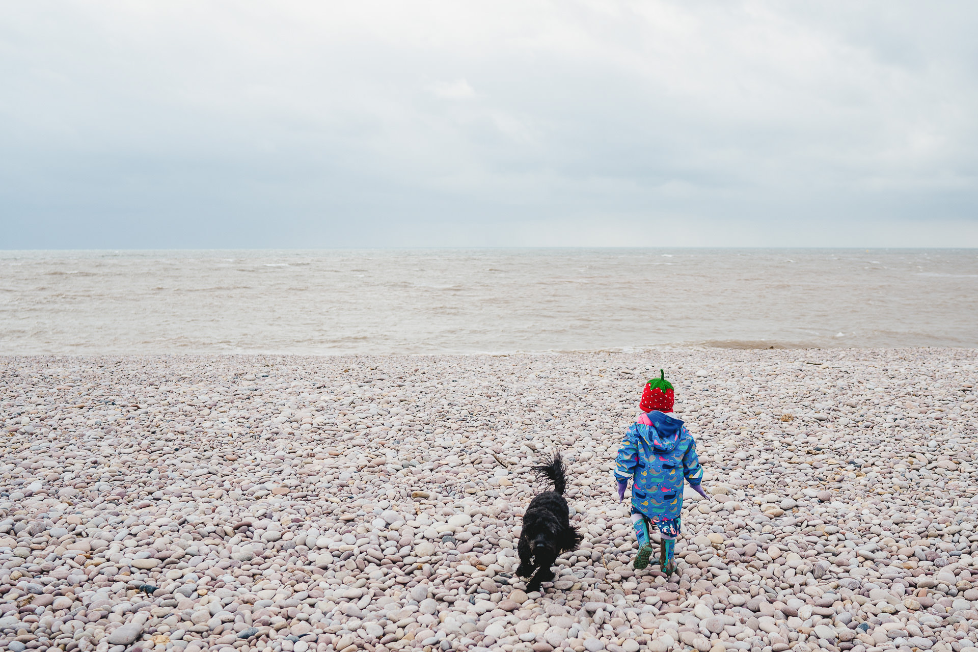 A young child on a pebble beach with a dog