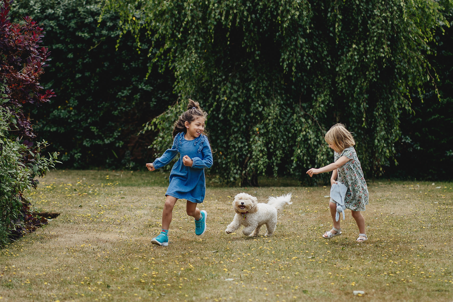 Two girls laughing and running across grass with a white dog