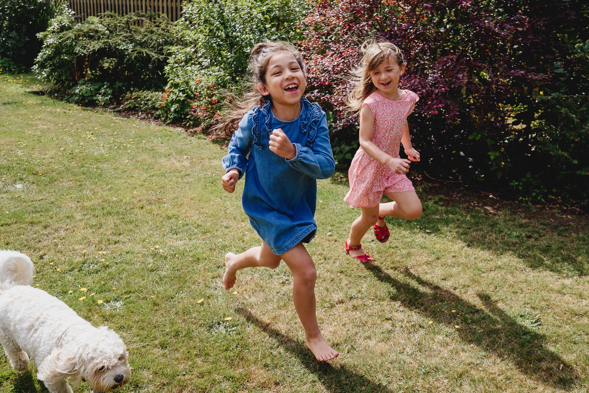 Two girls running and laughing with a dog