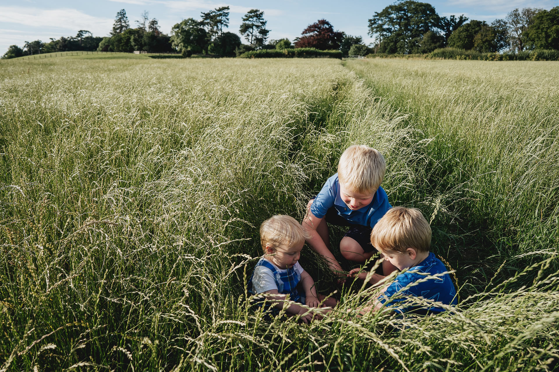Three children crouched in long grasses in a meadow