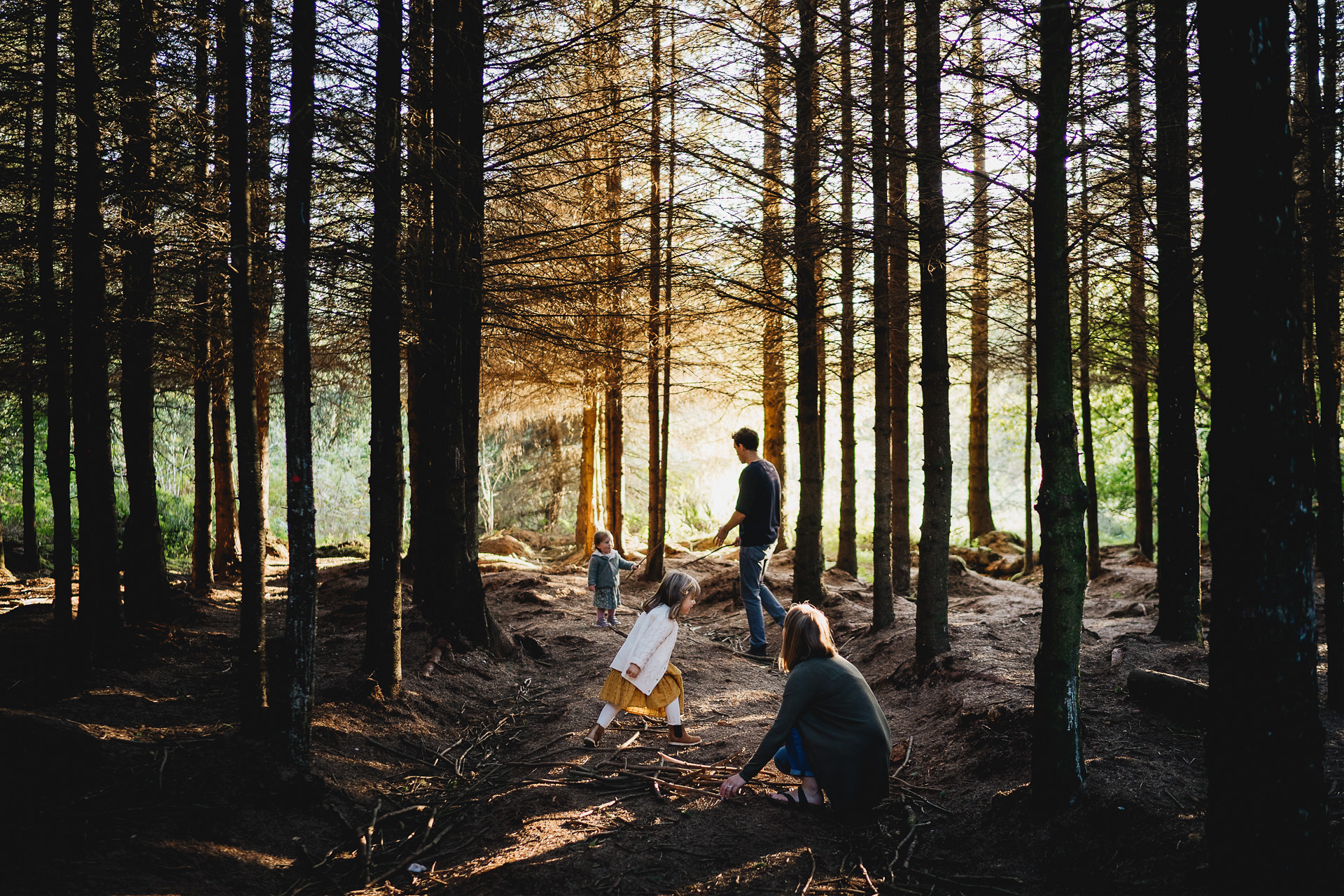 A family exploring the woods in evening light