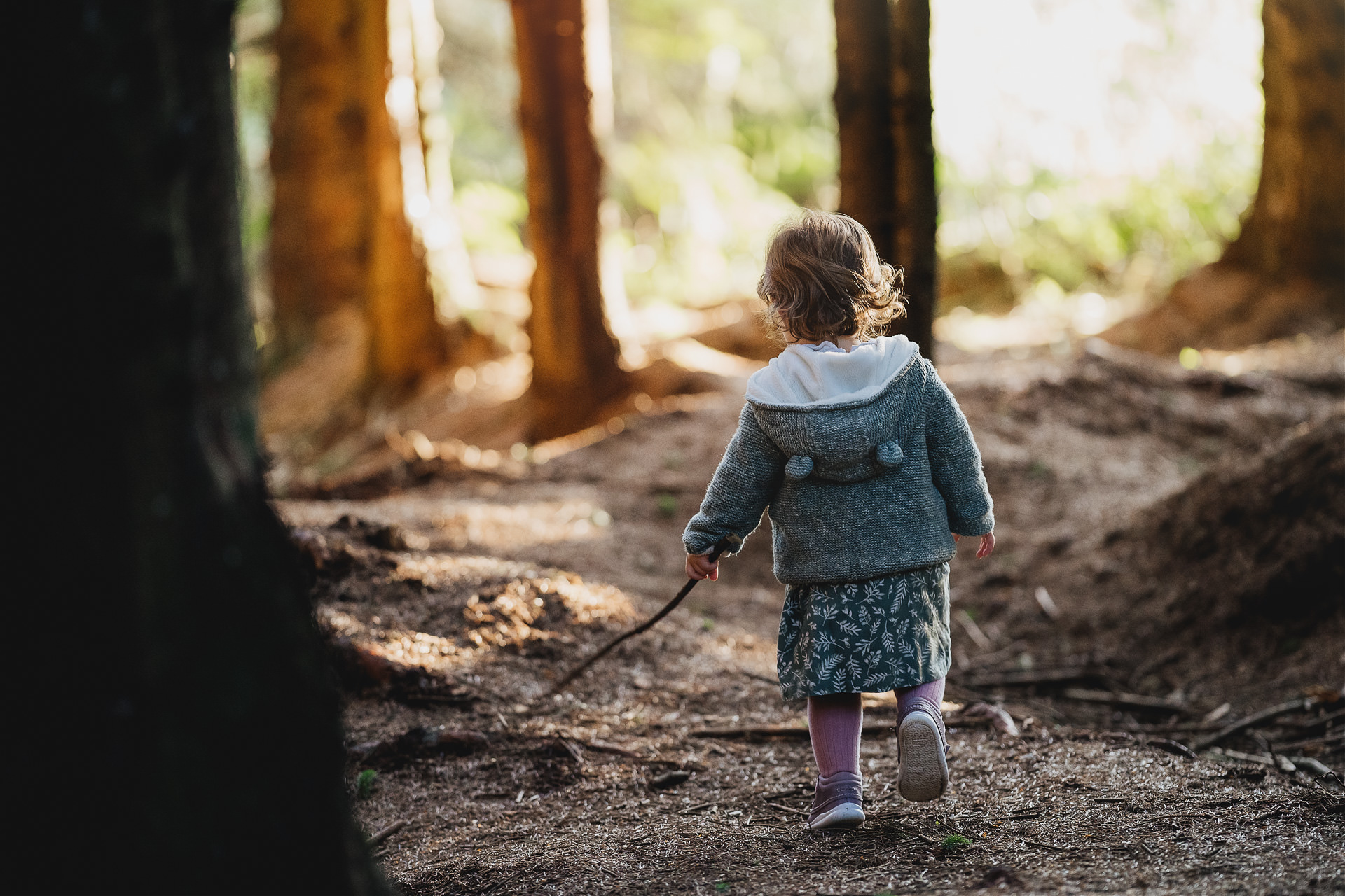 A young girl exploring woodland