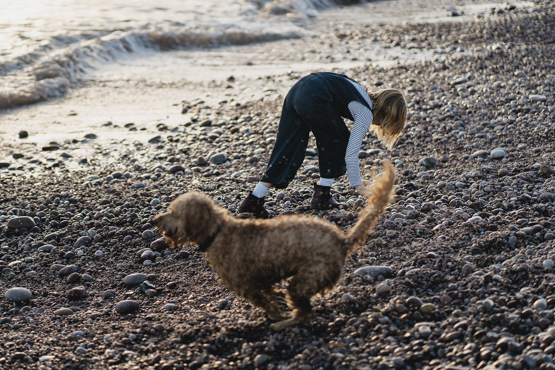 A girl picking up pebbles on the beach with a dog running past