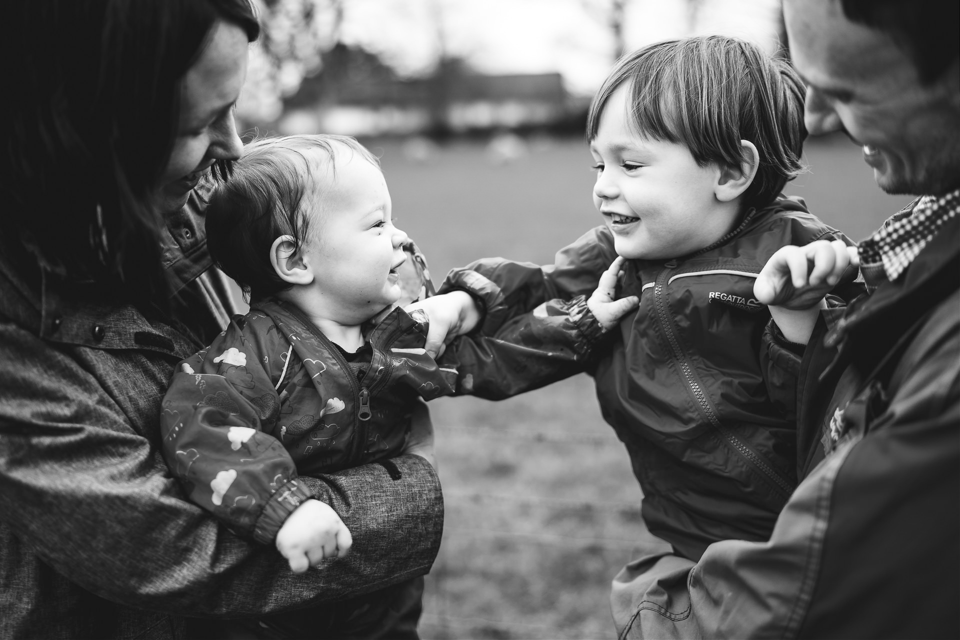 Two young brothers laughing together in their parents' arms