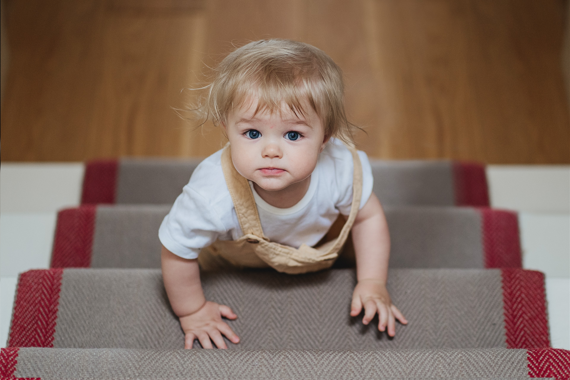 A baby crawling up stairs