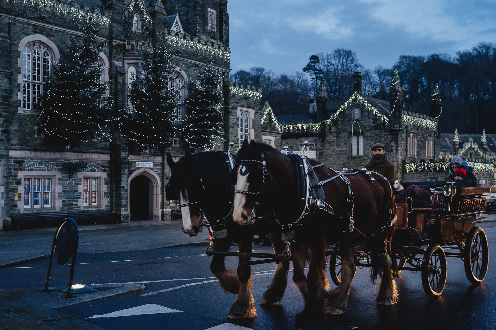 Horse and cart with Christmas lights in Tavistock
