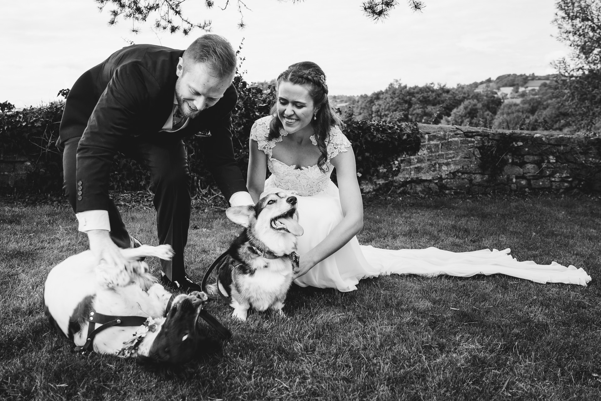 Bride and groom petting two dogs