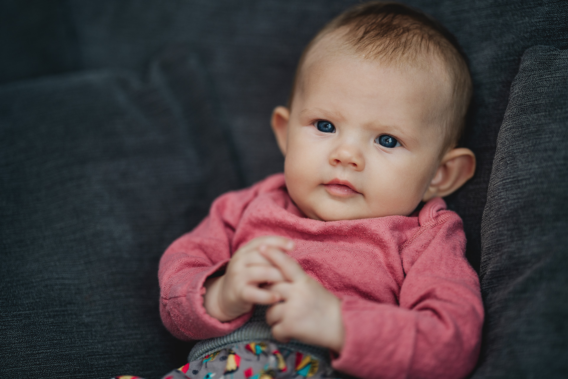 Family photography at home, a baby sitting on a sofa