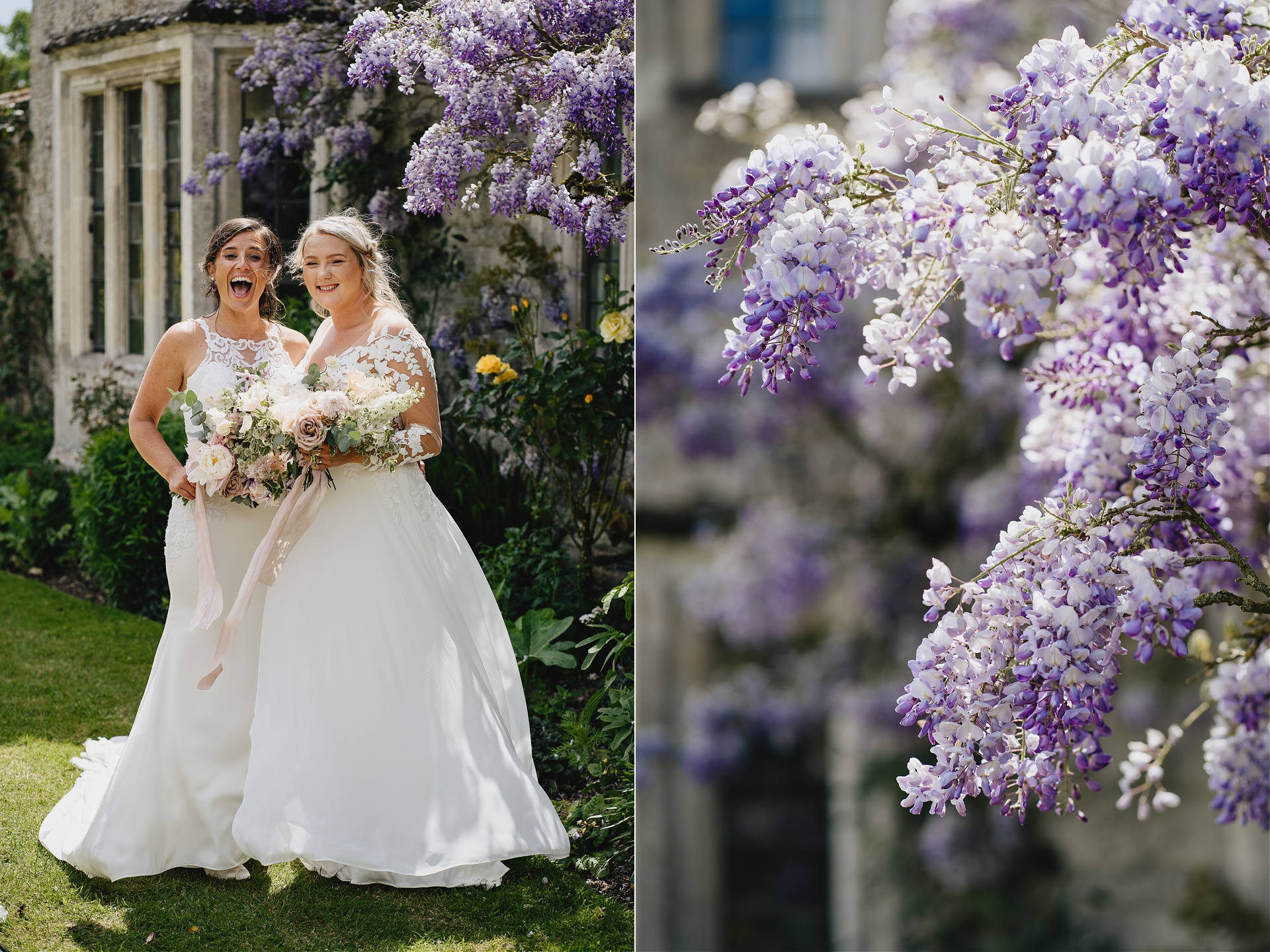Brides just married in front of wisteria on old walls at Cadhay in Devon