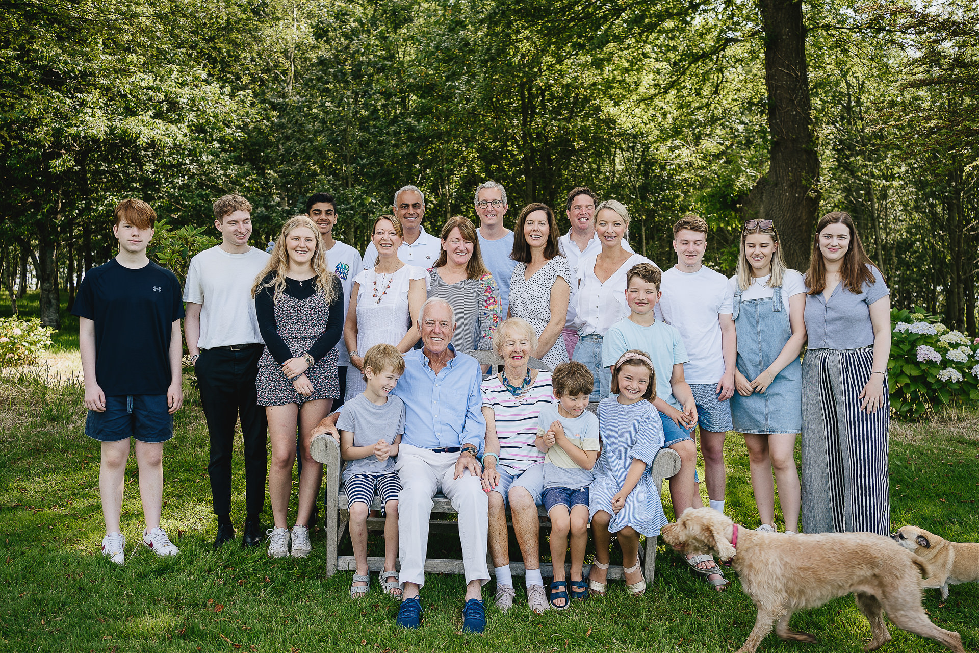 A large extended family photography group photo with dogs walking past