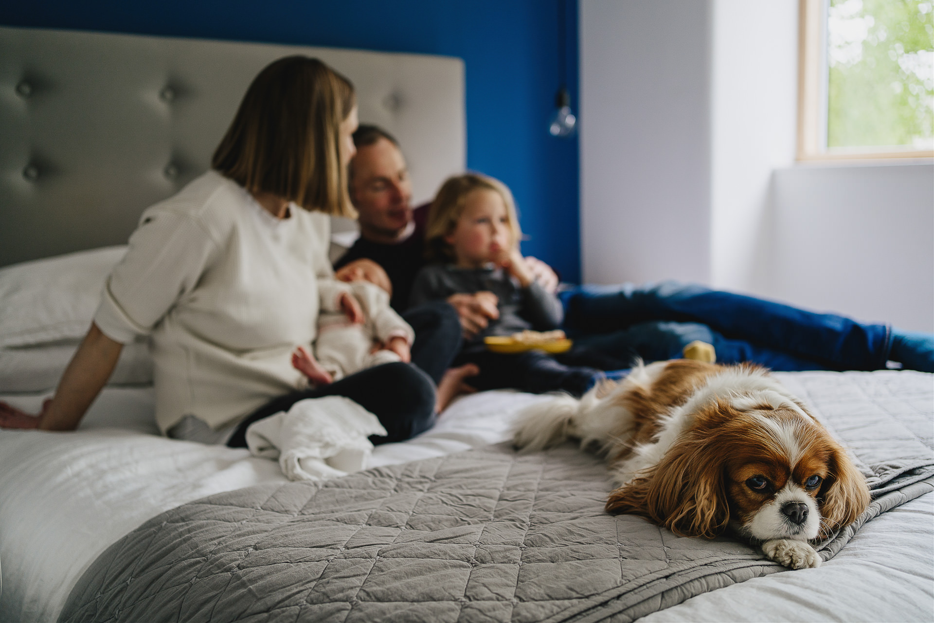 A family sitting together on a bed with a spaniel in the foreground