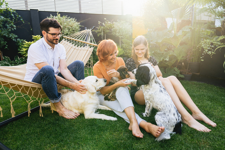 Photo of a family sitting on a hammock in a garden with three dogs