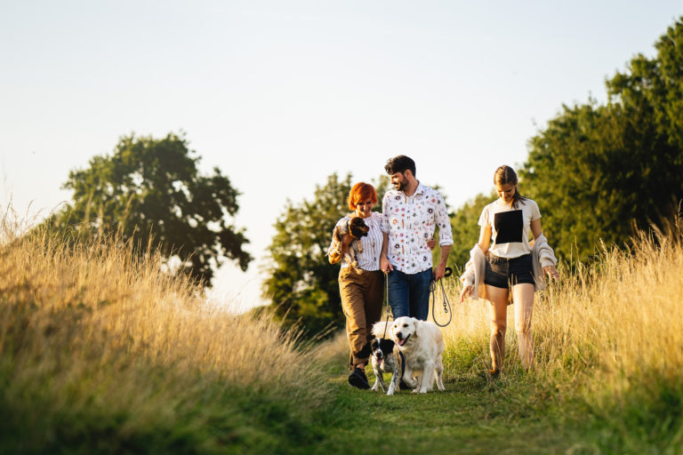 Family photography with your dogs? Yes please!