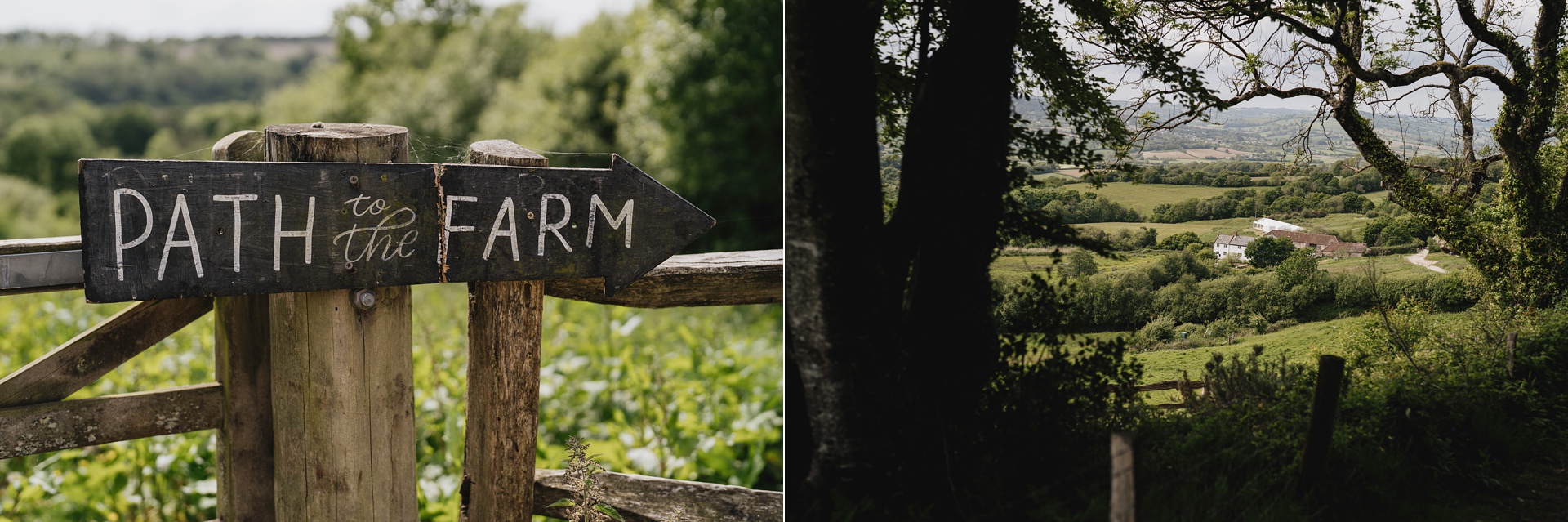Sign reading 'path to the farm' and the first sight of River Cottage through the trees