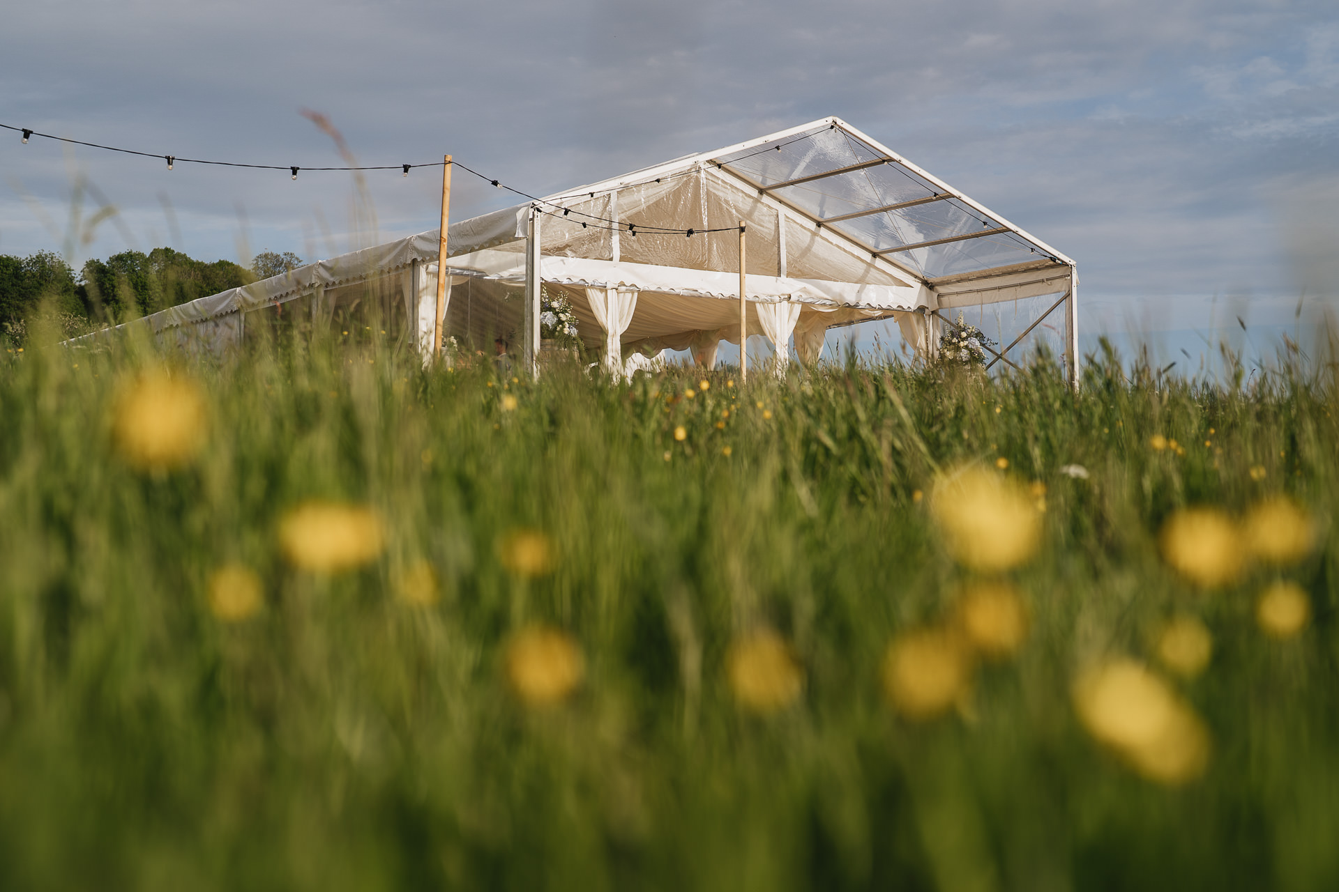 A marquee in a field with buttercups for a wedding at River Cottage