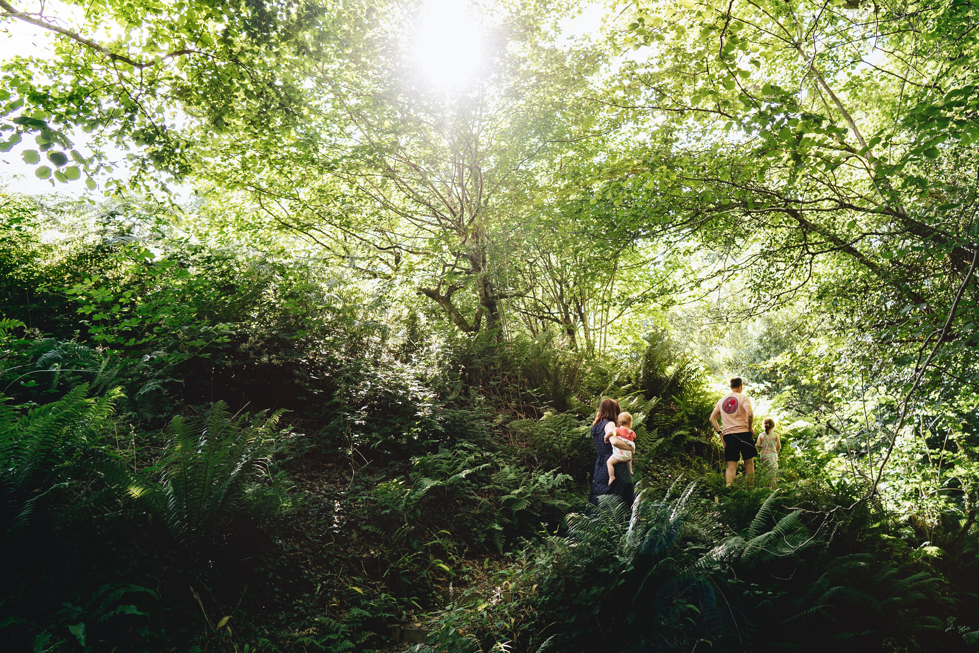 A family walking through lush green undergrowth, with the sun shining through trees above them