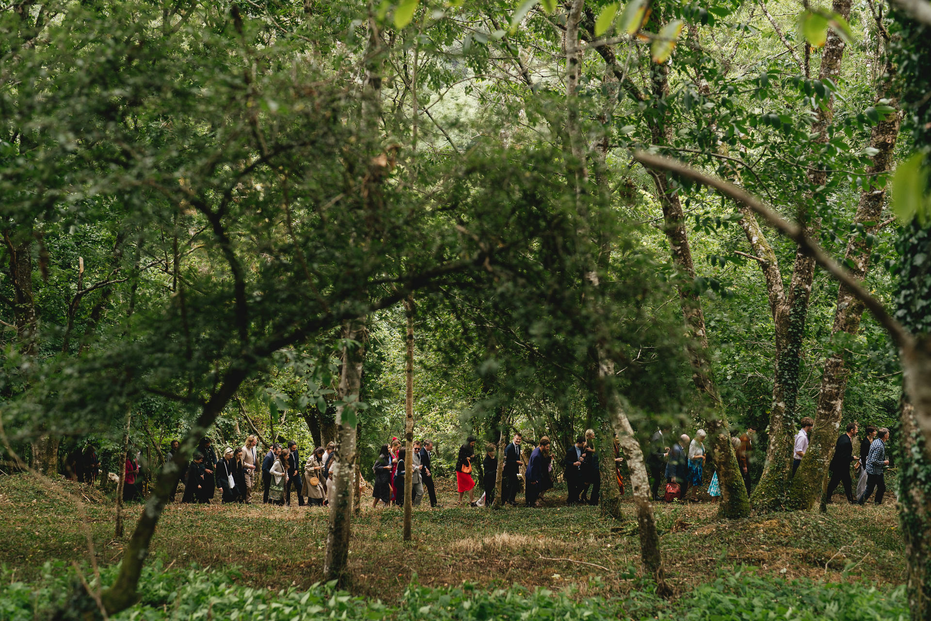 A line of brightly clothed wedding guests walking through woodland on Dartmoor in Devon