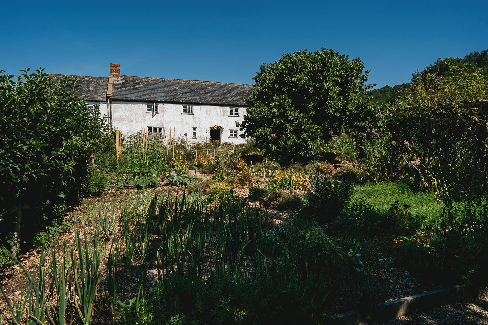 River Cottage and the kitchen garden in the sunshine ready for a wedding day