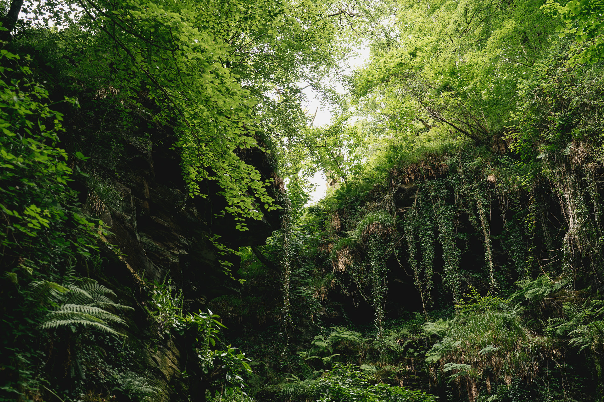 A wide shot of St Nectan's Glen