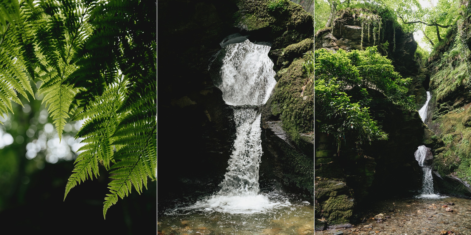 Images of St Nectan's Glen and waterfall with ferns growing