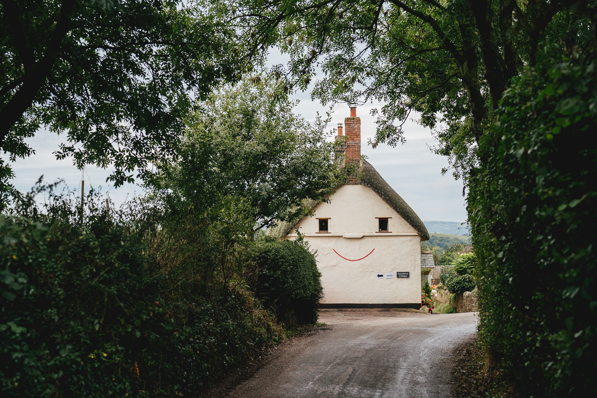 A traditional Devon thatched cottage with two windows made into a smiling face