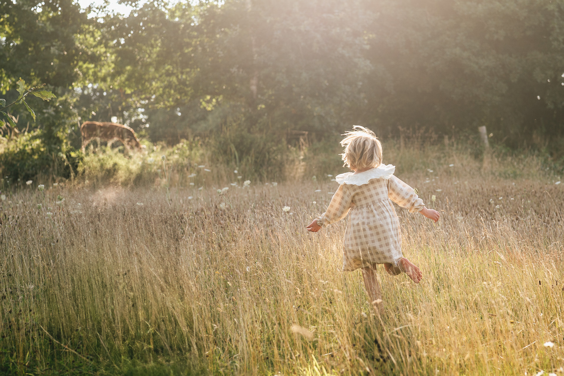A young girl in a checked dress with a white collar, running through long grass at sunset during a photography session in Devon