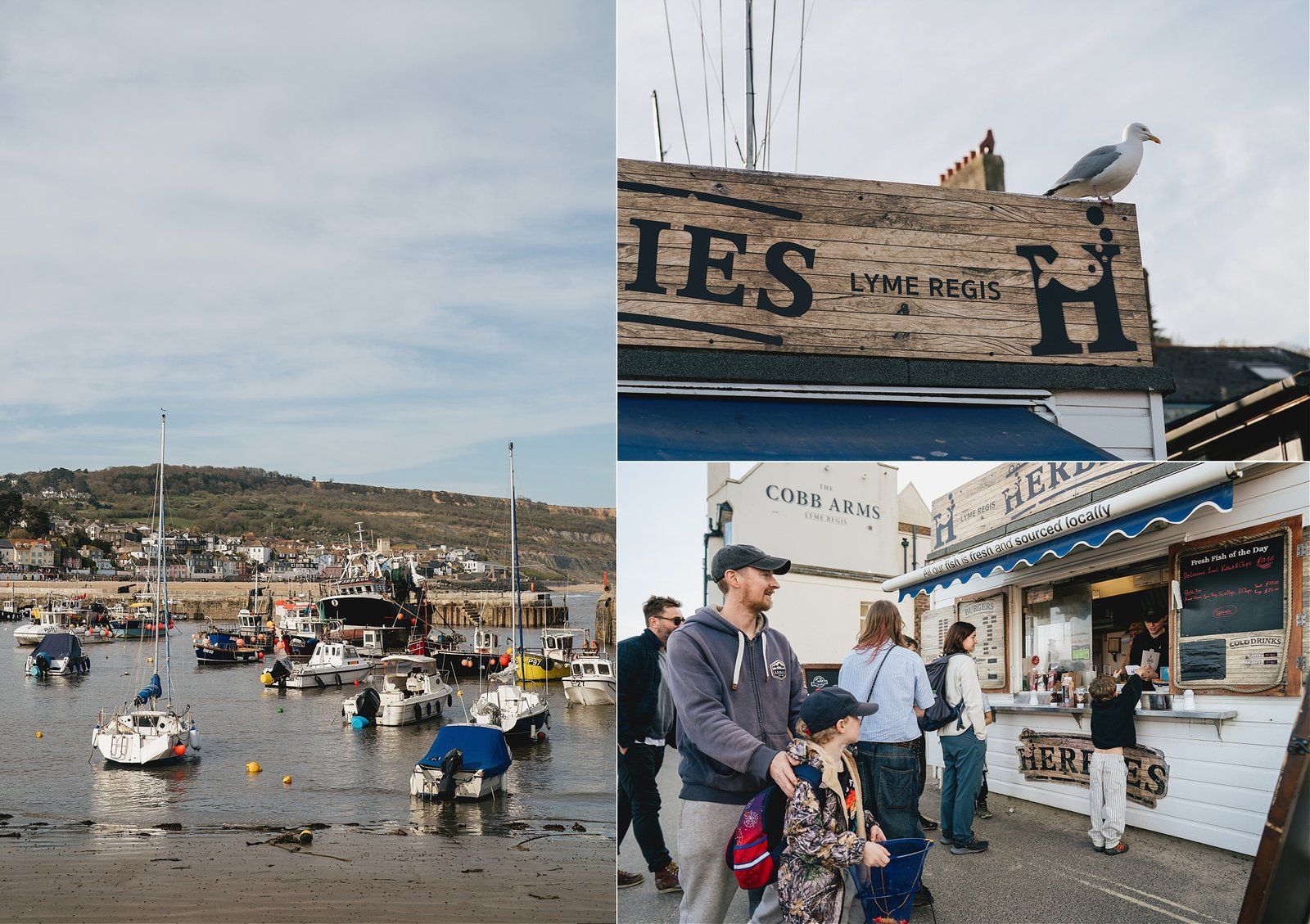 Boats in the harbour at Lyme Regis, and a seagull on top of a fish & chip shop
