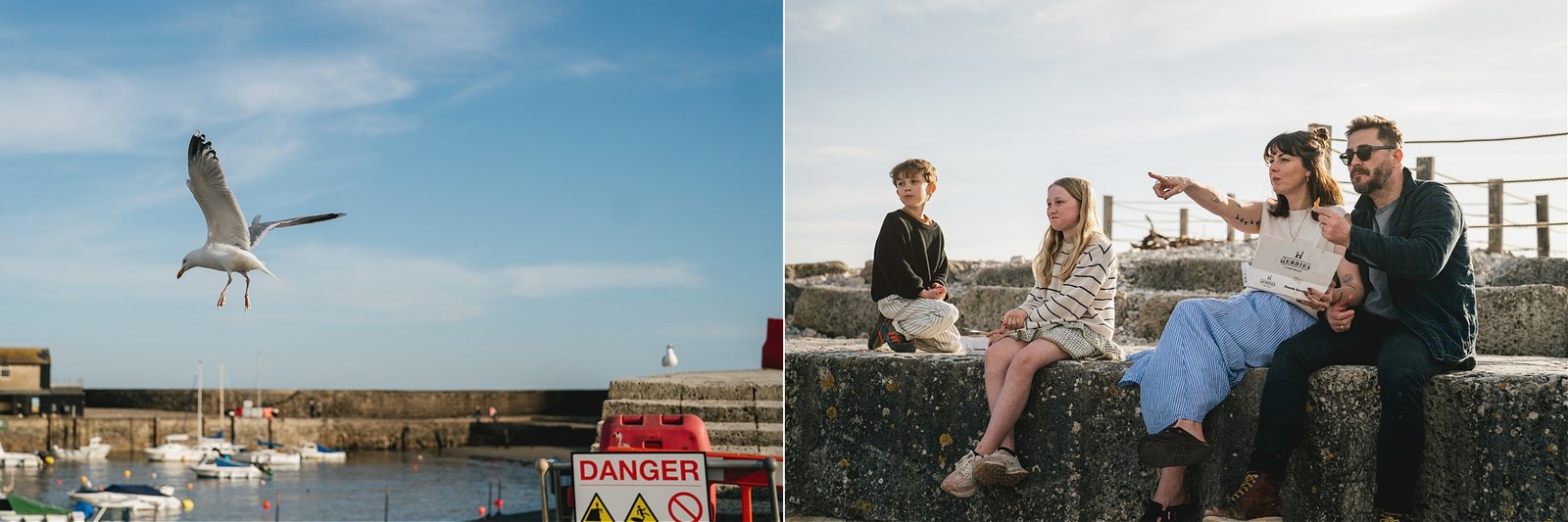 A family watching a seagull, while sitting on the Cobb eating fish & chips in Lyme Regis during a family photography session