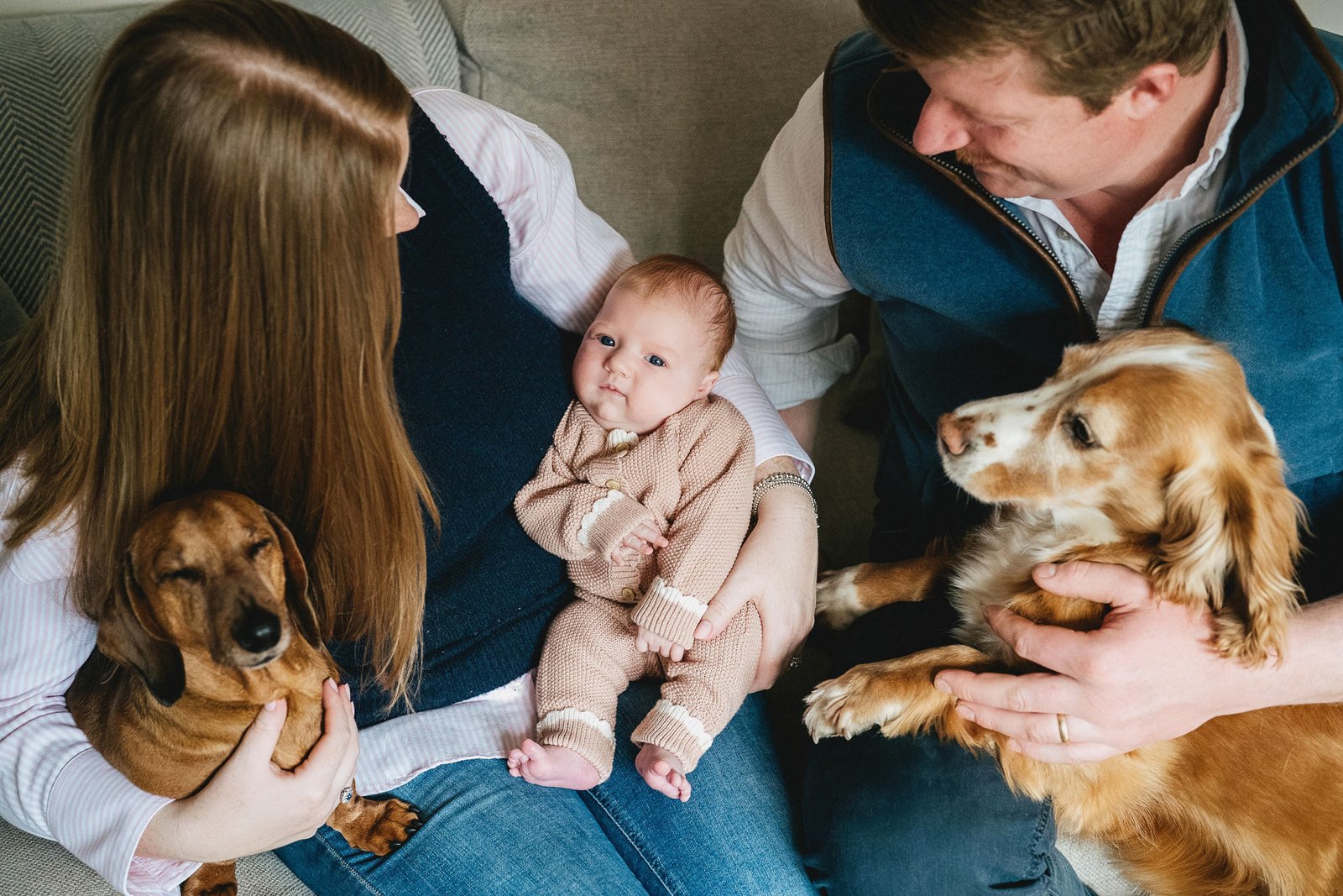 Parents sitting together with a baby and two dogs during a photo session in Somerset