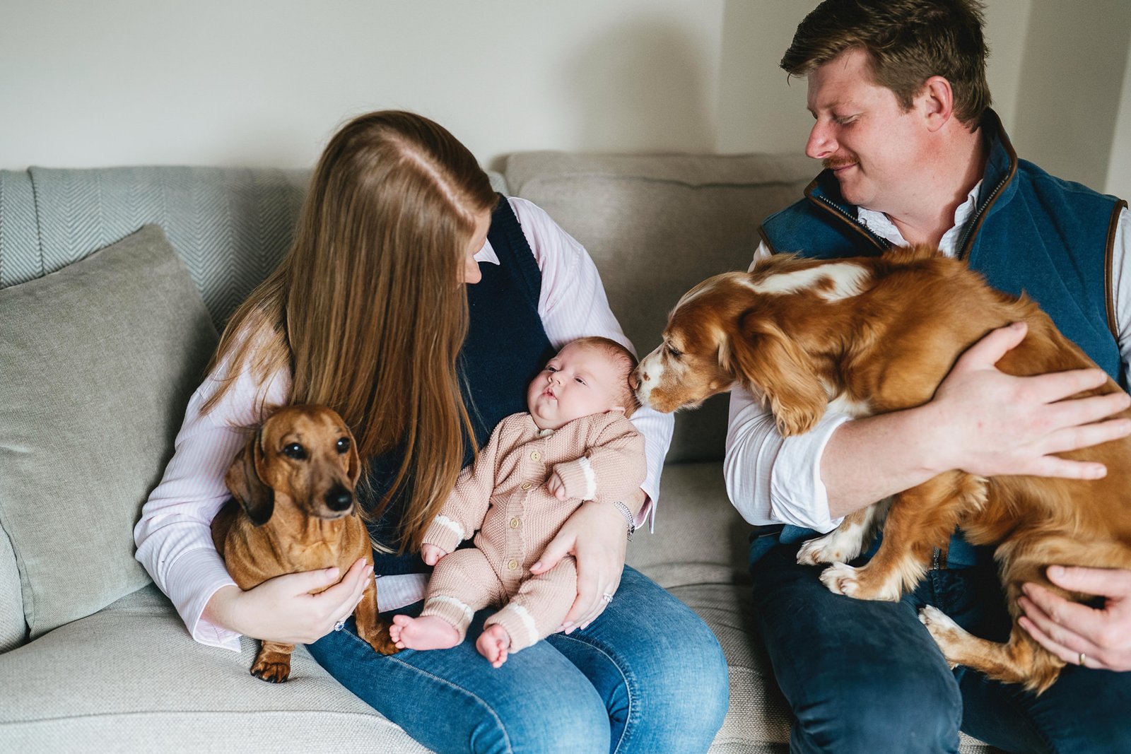 Parents sitting together with a baby and two dogs during a Somerset photo session